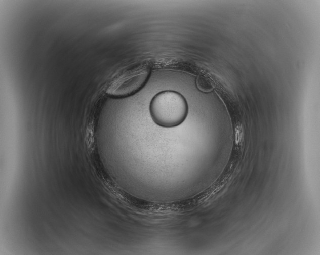 X0000116381011200912021515