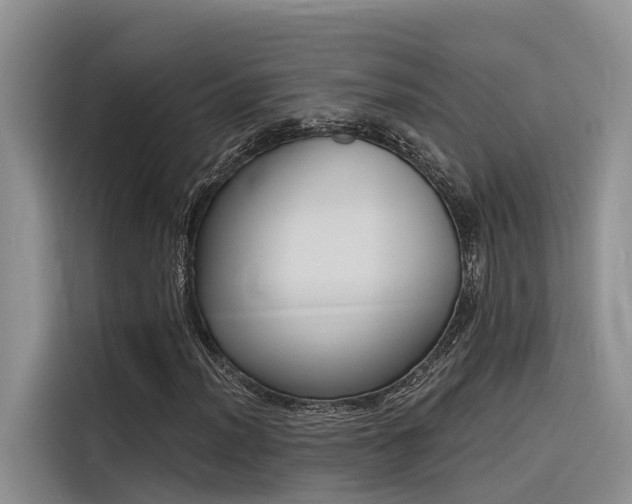 X0000116381012200912021515