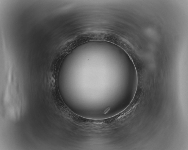 X0000116381013200912021515