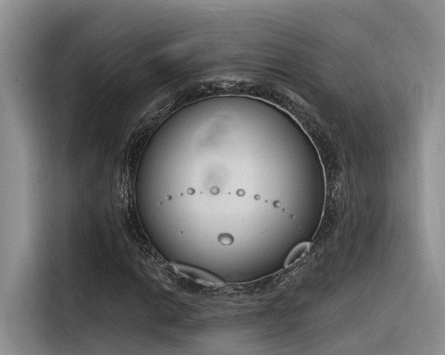 X0000116381014200912021515