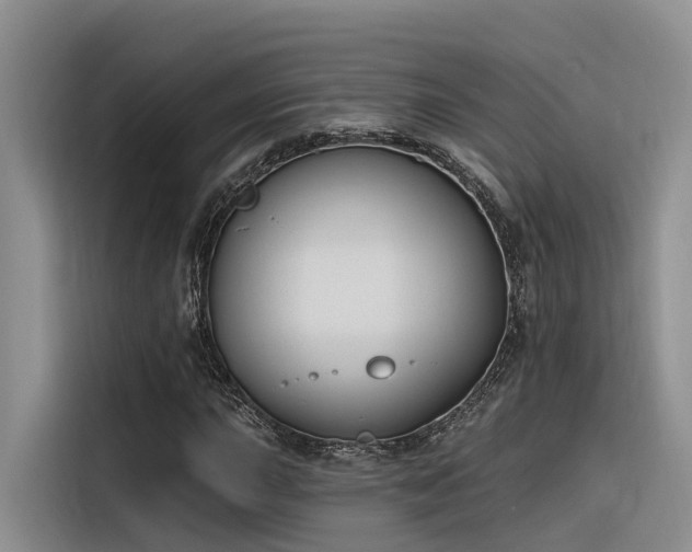 X0000116381015200912021515