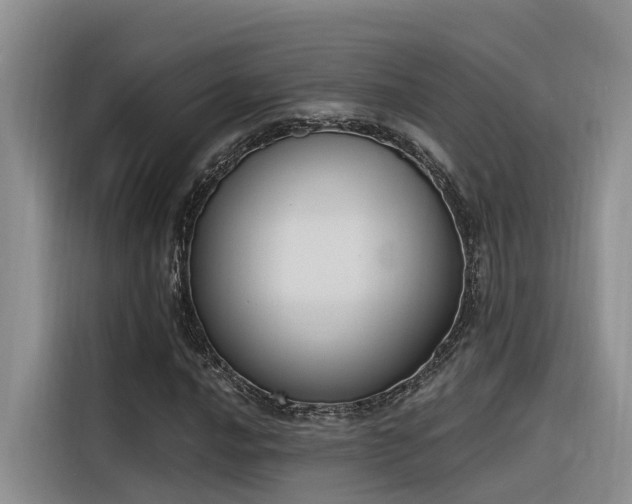 X0000116381016200912021515
