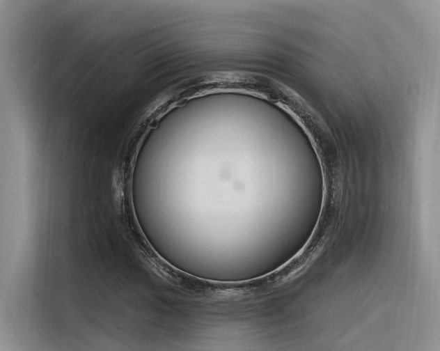 X0000116381017200912021515