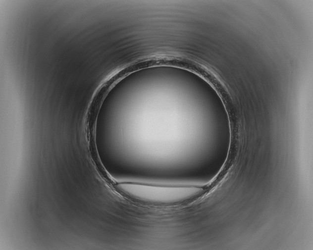 X0000116381018200912021515