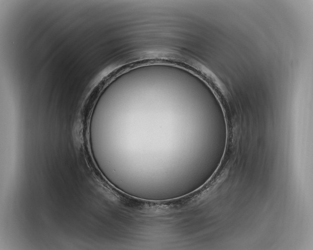 X0000116381019200912021515