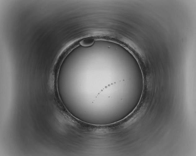 X0000116381021200912021515