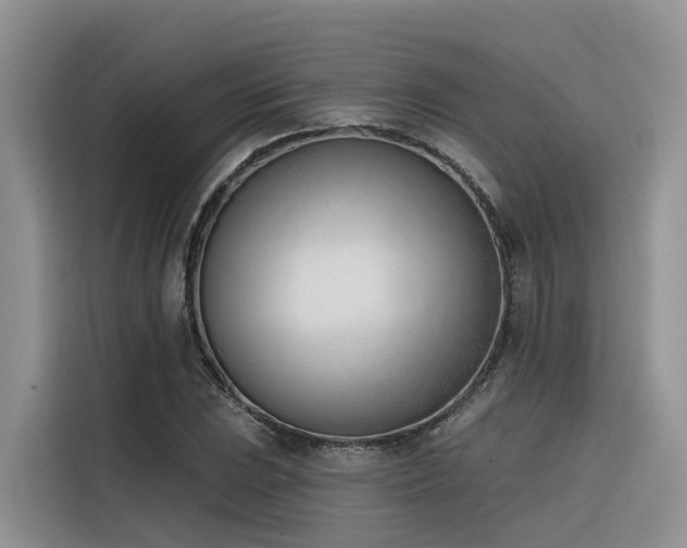 X0000116381023200912021515