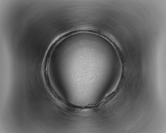 X0000116381024200912021515