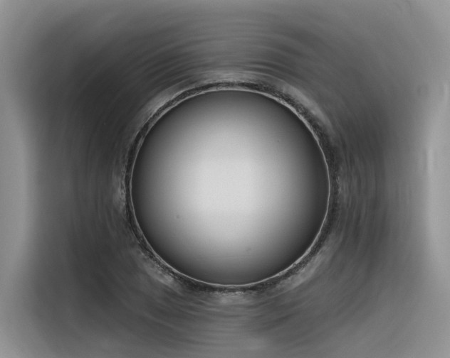X0000116381025200912021515