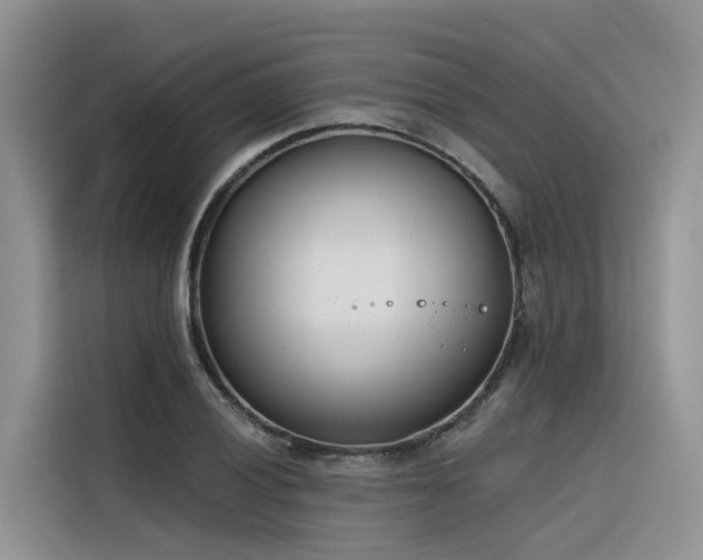 X0000116381028200912021515