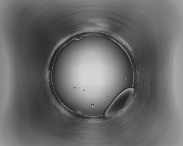 X0000116381029200912021515