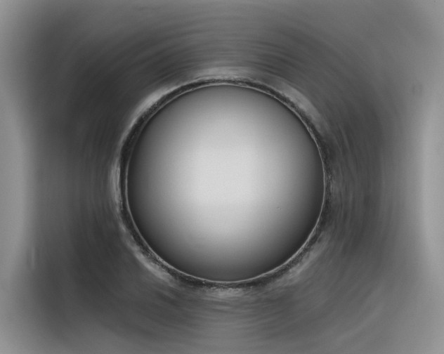 X0000116381030200912021515