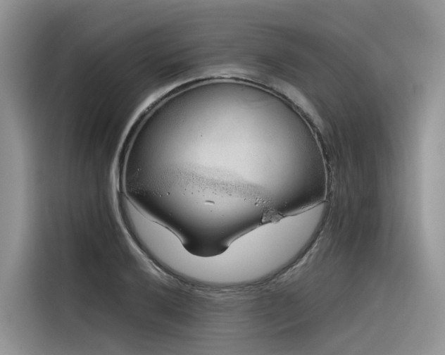 X0000116381032200912021515