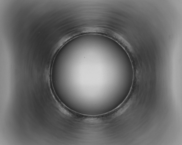 X0000116381033200912021515