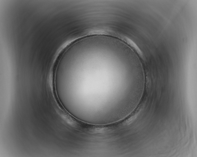 X0000116381035200912021515