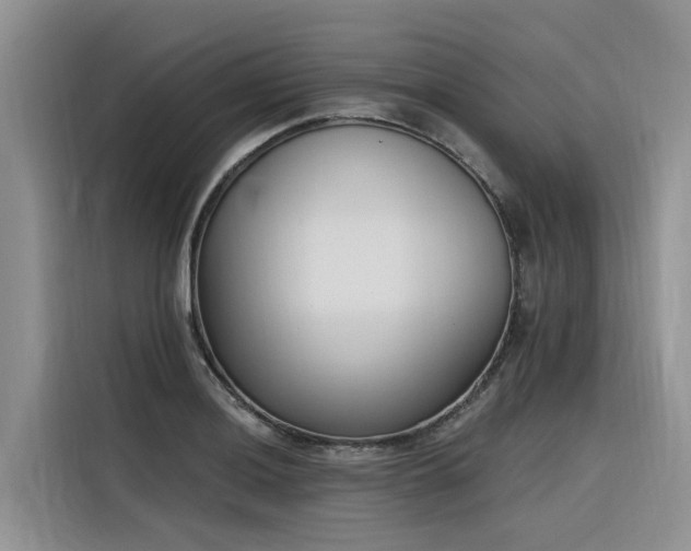 X0000116381036200912021515