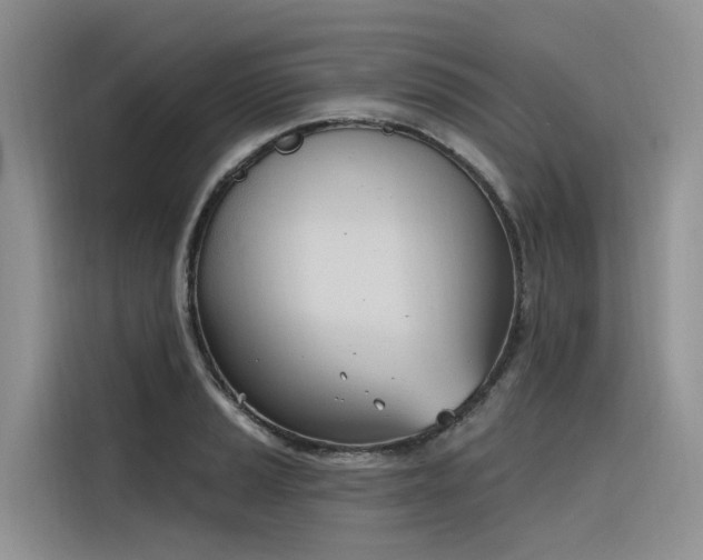 X0000116381037200912021515