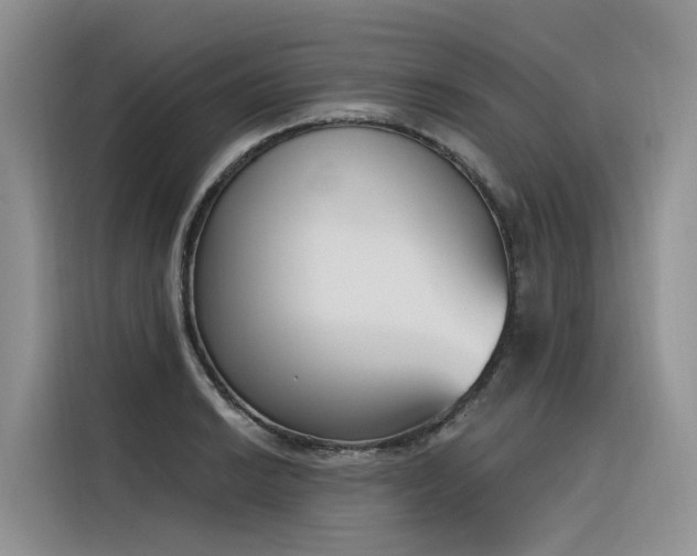 X0000116381038200912021515
