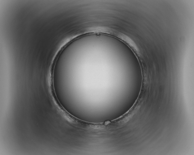 X0000116381040200912021515