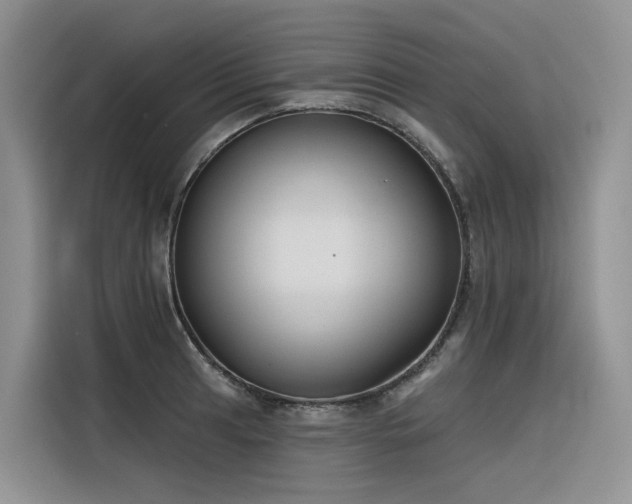 X0000116381041200912021515