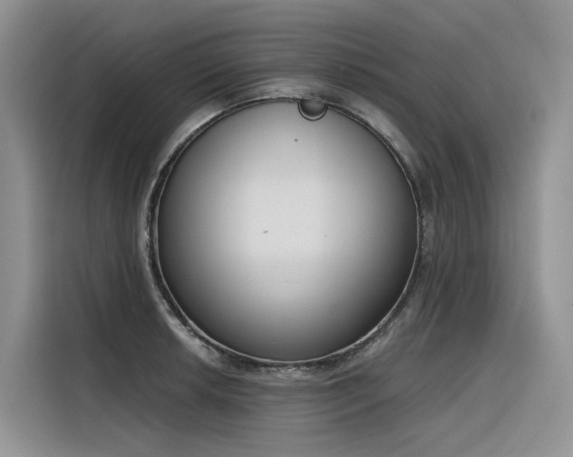 X0000116381042200912021515
