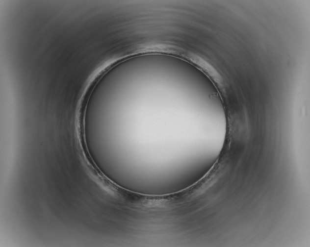 X0000116381043200912021515