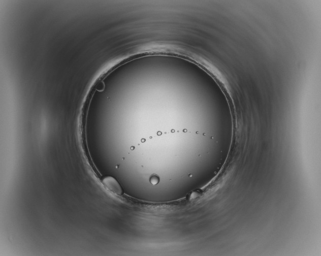X0000116381045200912021516