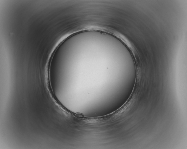 X0000116381048200912021516