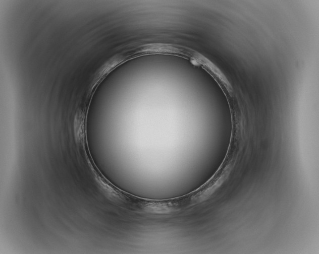 X0000116381049200912021516
