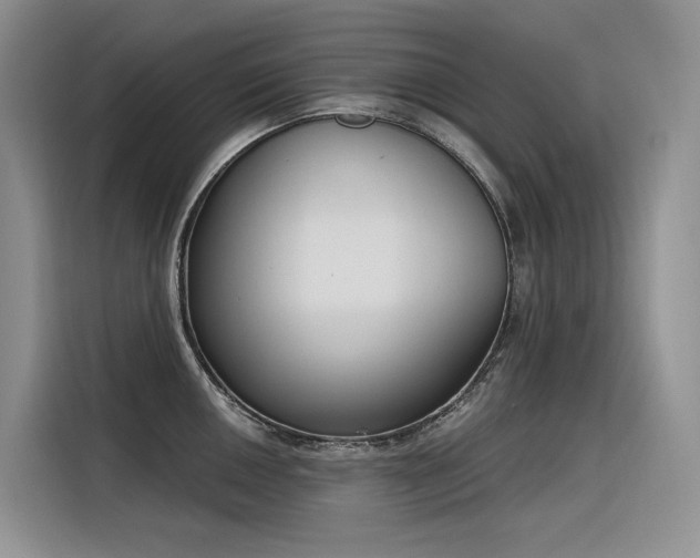 X0000116381050200912021516