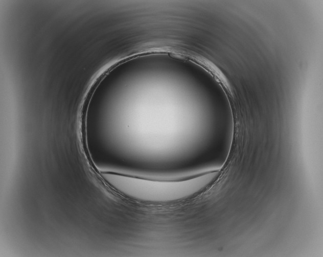 X0000116381051200912021516