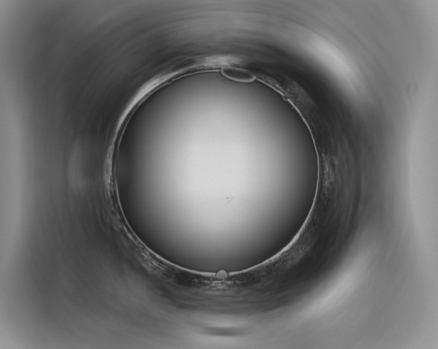 X0000116381052200912021516