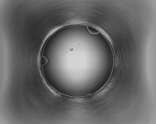 X0000116381053200912021516