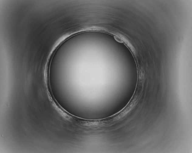 X0000116381054200912021516
