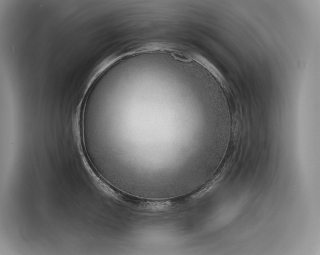X0000116381055200912021516