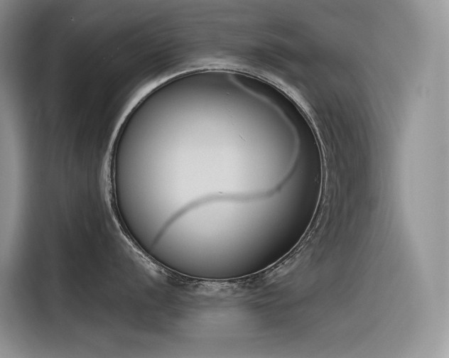 X0000116381056200912021516