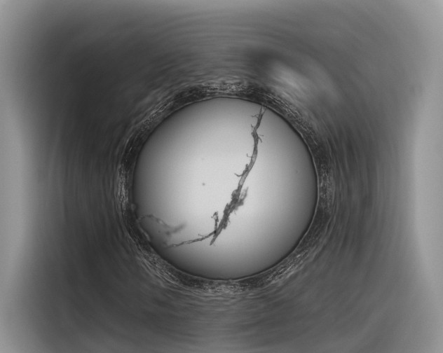 X0000116381058200912021515