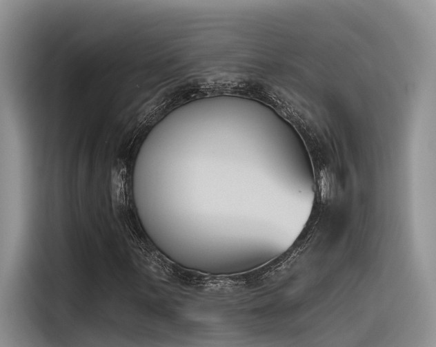 X0000116381059200912021515