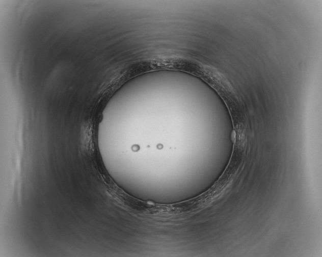X0000116381060200912021515