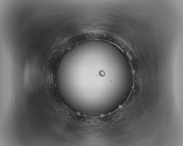X0000116381061200912021515
