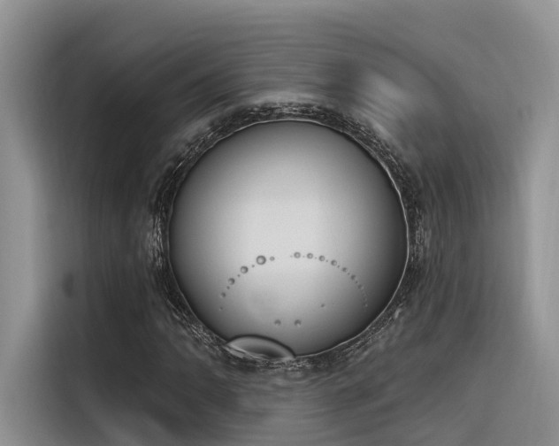 X0000116381062200912021515