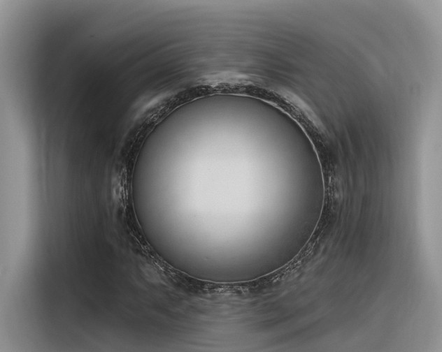 X0000116381063200912021515