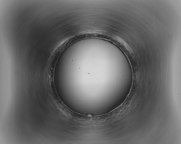 X0000116381064200912021515