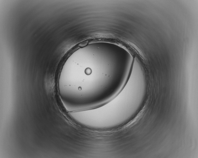 X0000116381065200912021515
