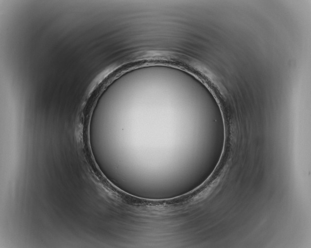 X0000116381066200912021515