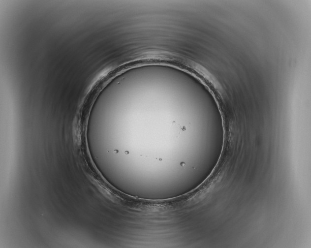 X0000116381067200912021515