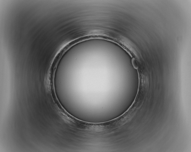 X0000116381068200912021515