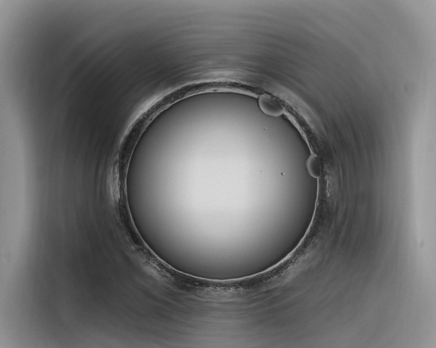 X0000116381069200912021515