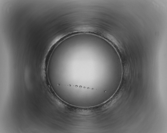 X0000116381071200912021515