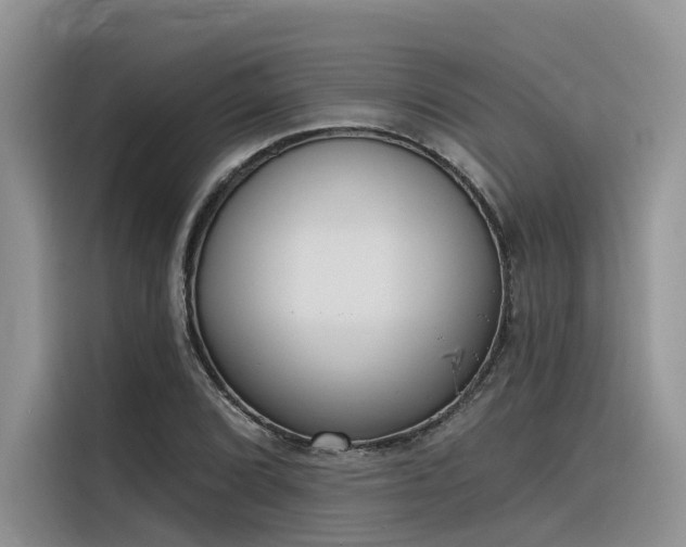 X0000116381072200912021515